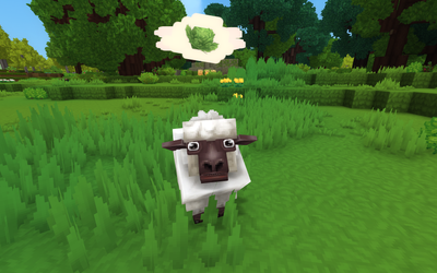 Sheep asking for lettuce