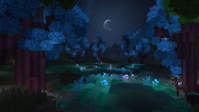blue forest biome at night