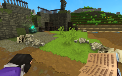 You can now use the grimoire to raise a skeleton army!